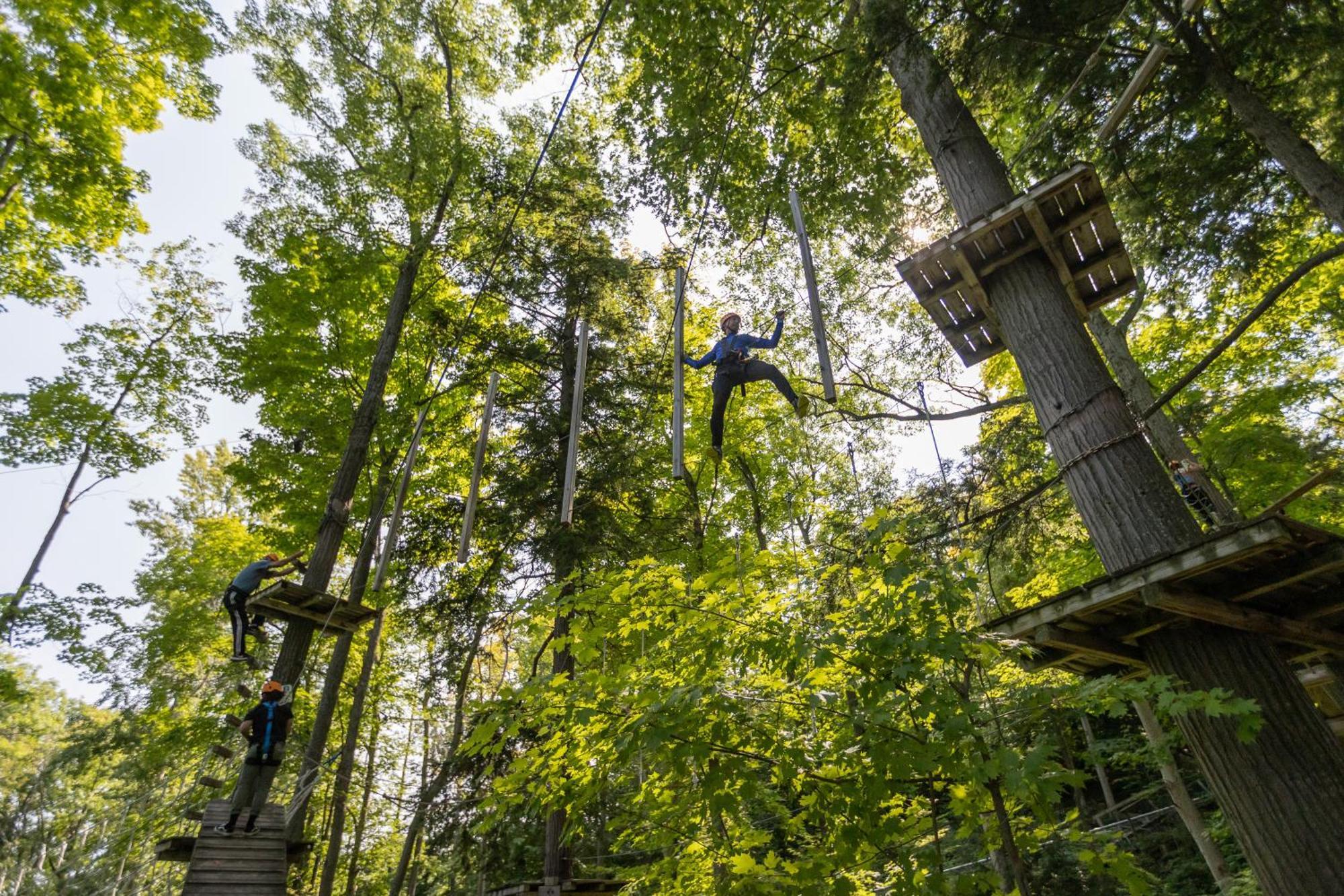 Blue Mountain Resort Inn Блу Маунтинс Екстериор снимка